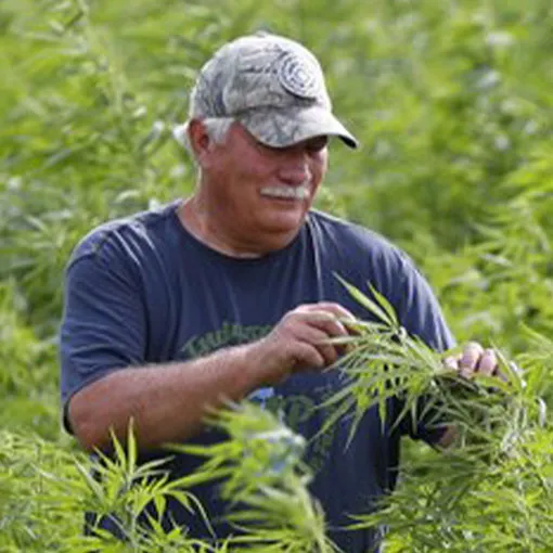 Dave Crabill in hemp field